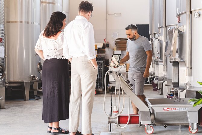 Sicilian Winery Experience in Alcamo - Tasting Four Wines in Various Stages