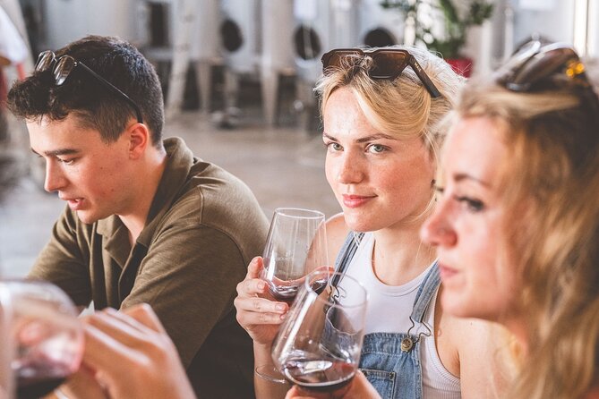 Sicilian Winery Experience in Alcamo - Final Thoughts on the Alcamo Winery Tour