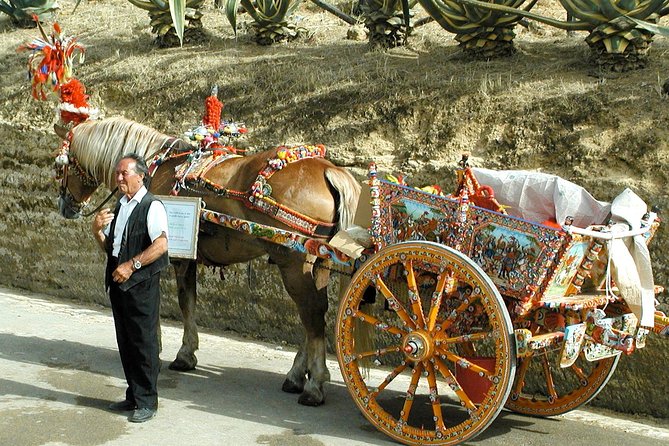 Sicily in One Memorable Full-Day from Rome - The Private Tour Experience and Group Options