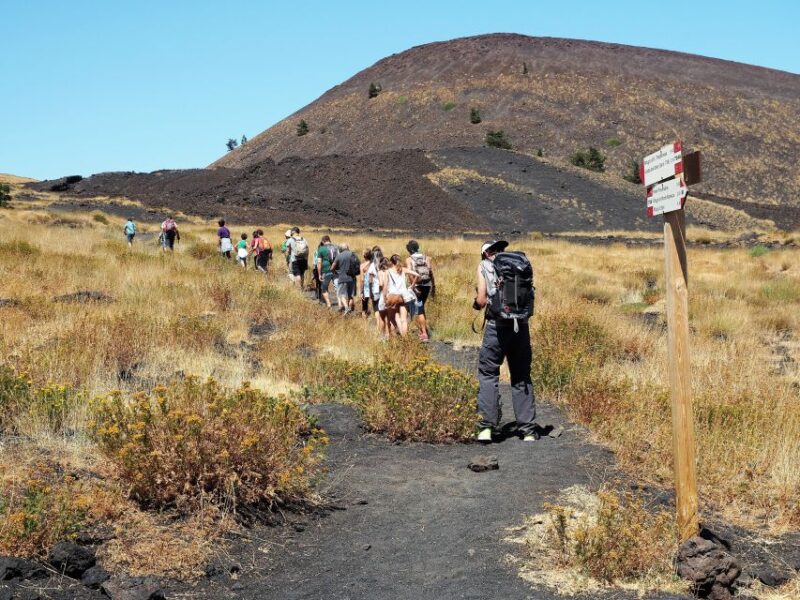 Sicily: Mount Etna's North Slope Craters Guided Hike Tour - Expert Guides and Educational Insights