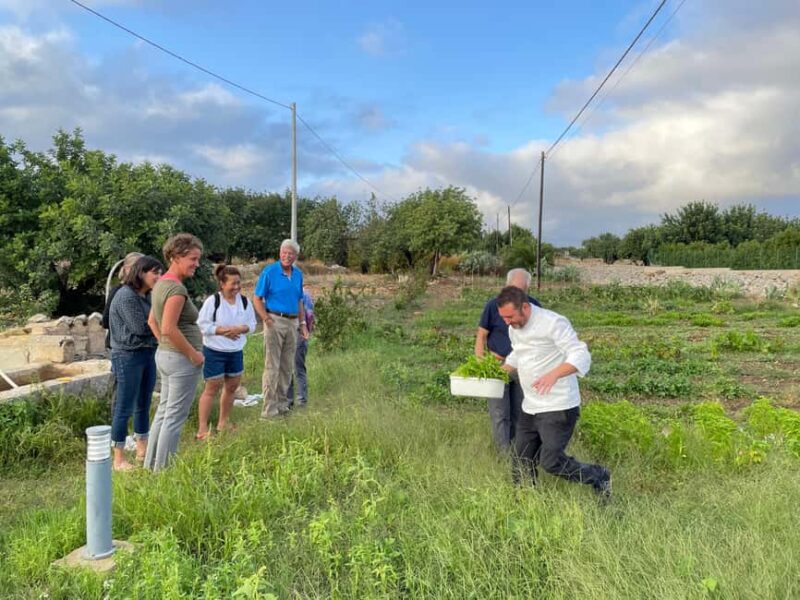 Sicily: Traditional Cooking Class with Dinner - Key Points