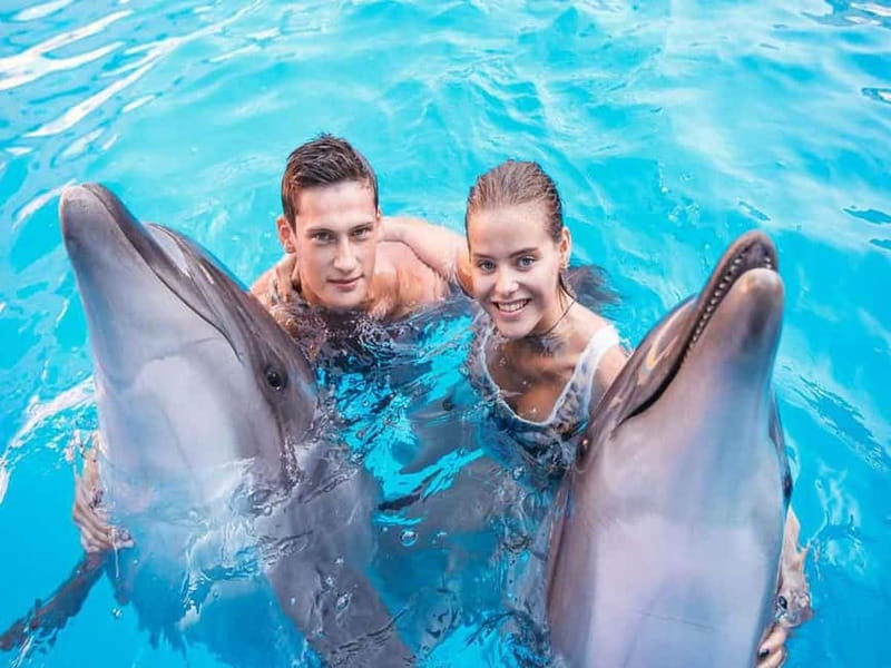 Side/Alanya: Swimming with Dolphins and Dolphin Show - Limitations and Considerations: What to Keep in Mind