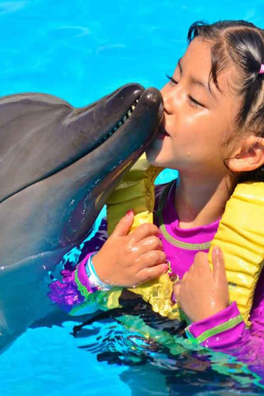 Side/Alanya: Swimming with Dolphins and Dolphin Show - Final Thoughts on the Marine Mammal Experience in Turkey