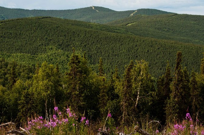 Side by Side Morning Tour - The Route: 32 Miles of Alaska’s Wilderness