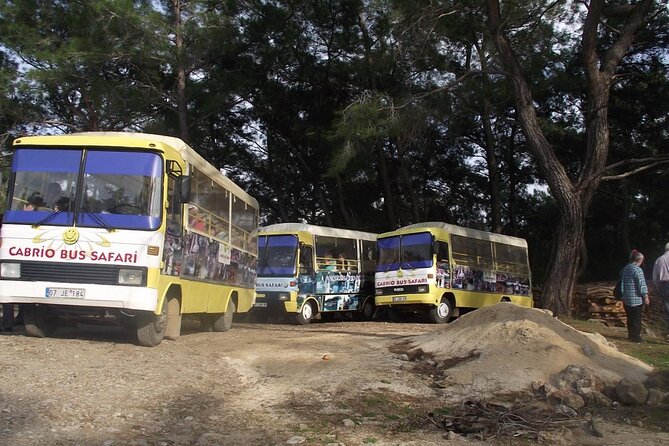 Side Cabrio Bus Tour With Green Lake And Manavgat Waterfall - The Tour Starts with Hotel Pickup and Introduction