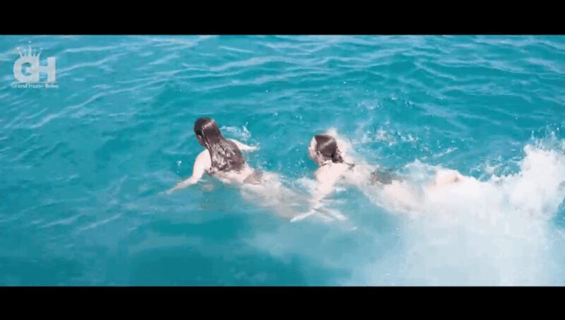 Side: Dolphin Island Boat Tour : A Seaside Adventure - Starting Point and Transportation Logistics