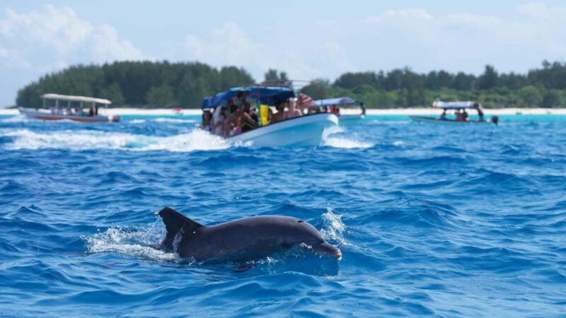 Side Dolphin Island Boat Trip with Lunch & Swim Stops - Experience a Full-Day Boat Adventure from Side with Dolphin Sightings and Water Fun