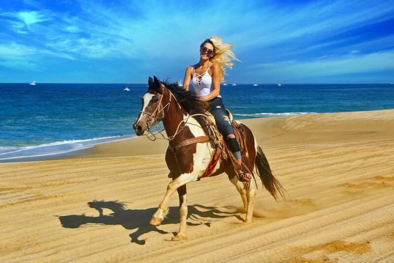 Side: Horse Riding Experience with Pony Option - The Experience Provider: Alys Tours