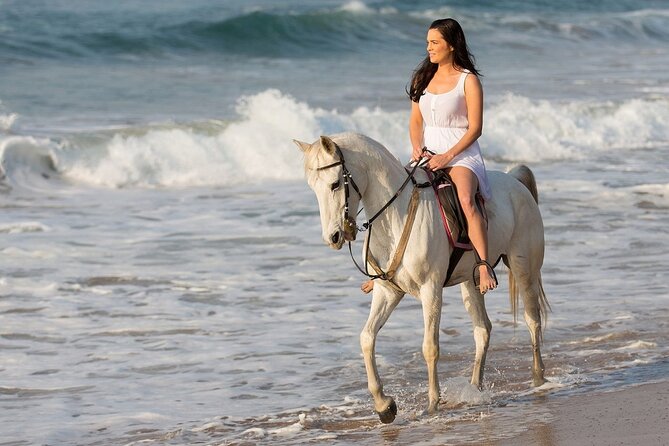 Side Horse Riding On Beach And Through The Forests For 2 Hours - Horses and the Riding Experience