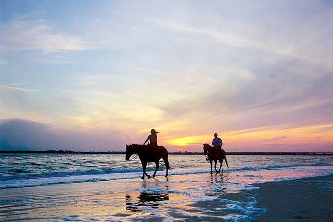 Side Horse Riding On Beach And Through The Forests For 2 Hours - Insights into Horse Welfare and Tour Reviews