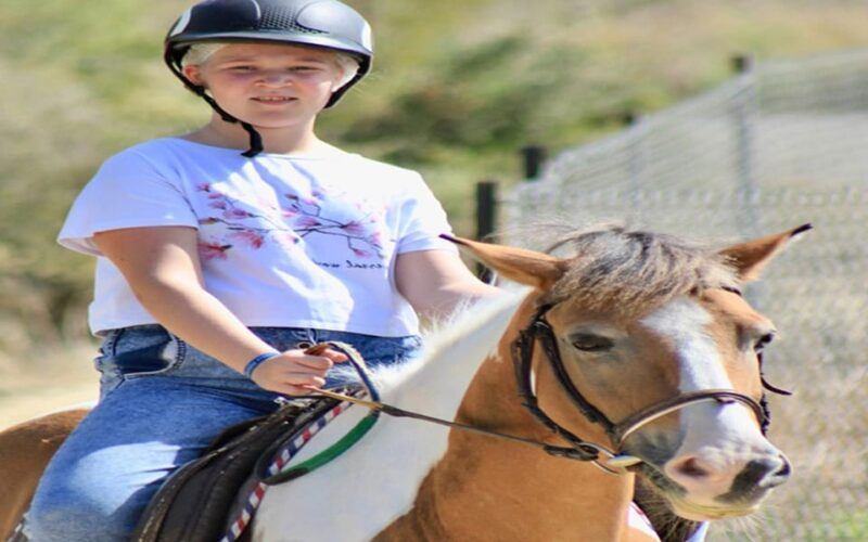 Side: Horse Safari Tour - Discover the Horse Safari Tour in Side for $44