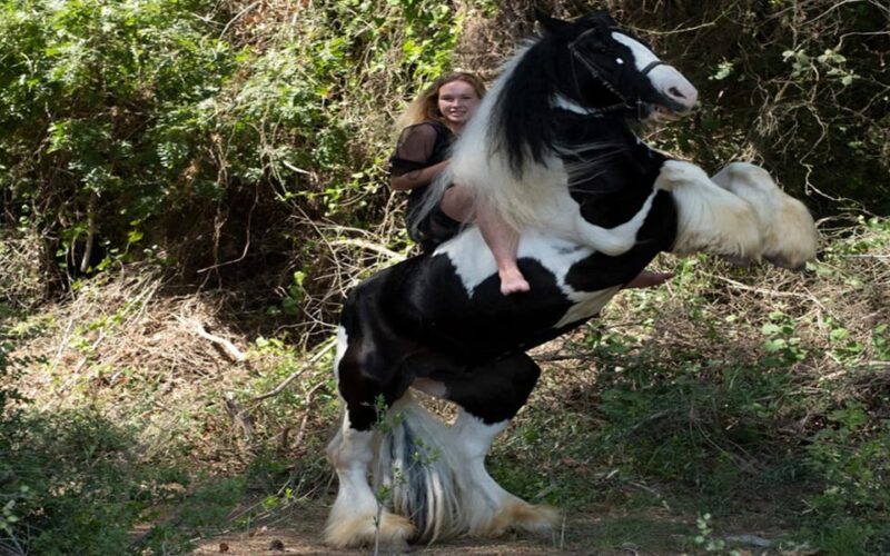 Side: Horse Safari Tour - Additional Activities and Enhancements