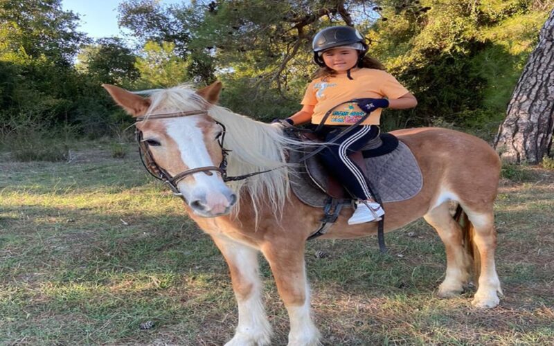 Side: Horse Safari Tour - The Scenic Views and Terrain Encountered