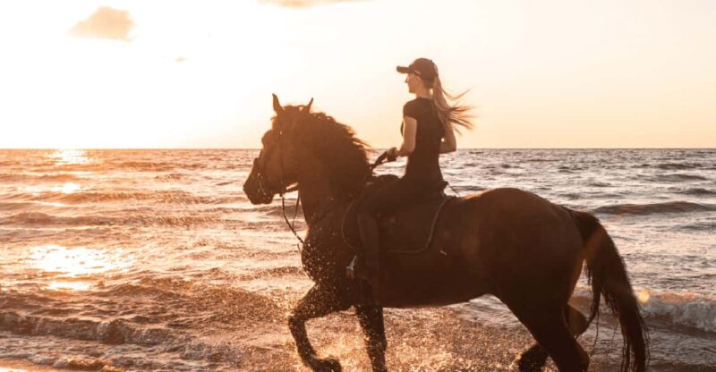 Side: Horseback Riding Tour in Nature with Transfer - Thrilling Horseback Riding Adventure in Side with Hotel Transfers