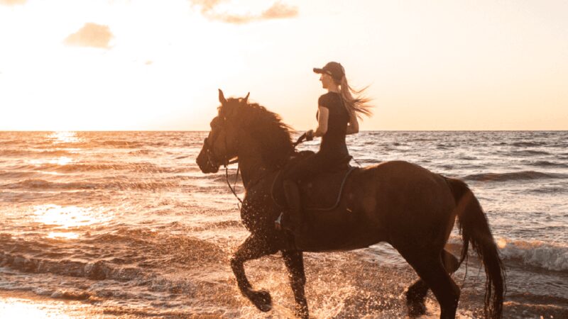 Side: Horseback Riding Tour in Nature with Transfer - Riding Along the Beach and Natural Scenery