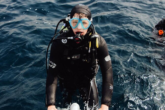Side Scuba Diving Adventure with Lunch & Roundtrip Transfer - Key Points