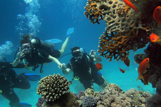 Side Scuba Diving Adventure with Lunch & Roundtrip Transfer - What the Scuba Experience in Side Offers