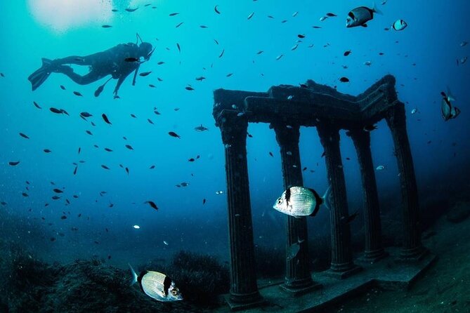 Side Scuba Diving Adventure with Lunch & Roundtrip Transfer - The Experience Provider and Customer Service