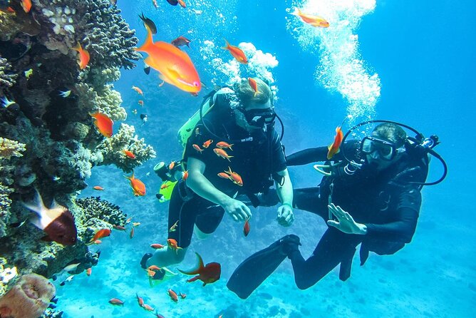 "Side: Scuba Diving in the Fascinating Underwater Museum" - Practical Details: Booking, Cancellation, and Requirements