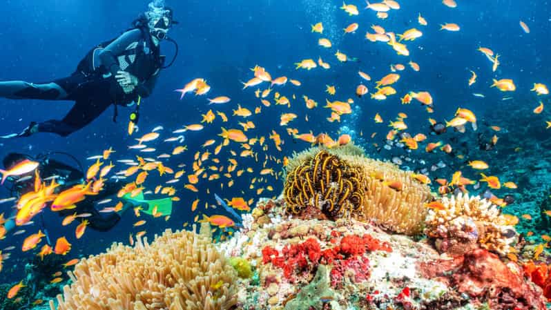 Side: Scuba Diving Tour Journey To The Depths Of The Blue - Explore the Underwater Sculptures of Side with a 5-Hour Scuba Diving Tour