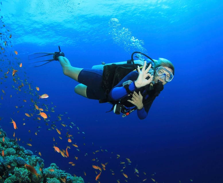 Side: Scuba Diving Tour Journey To The Depths Of The Blue - Scenic Boat Ride Complements the Underwater Experience