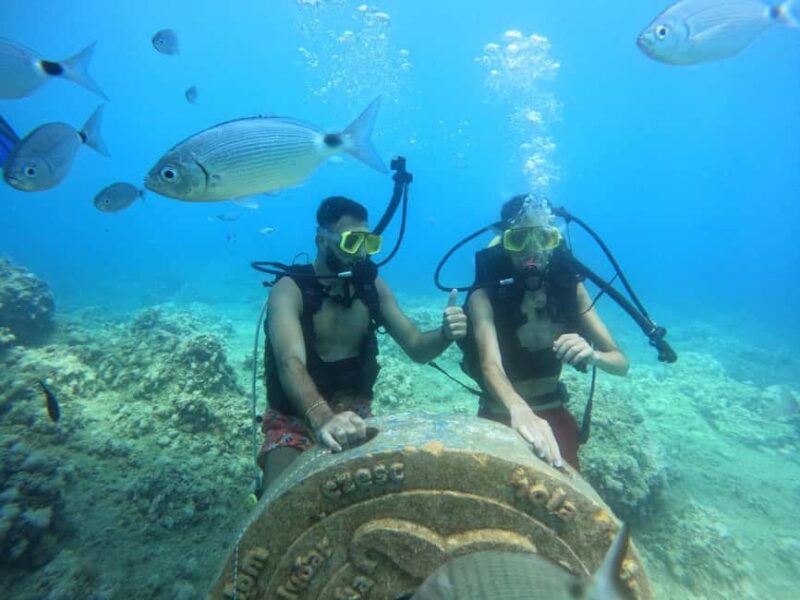 Side: Scuba Diving with Expert Diving Option - The Underwater Museum and Dive Spots