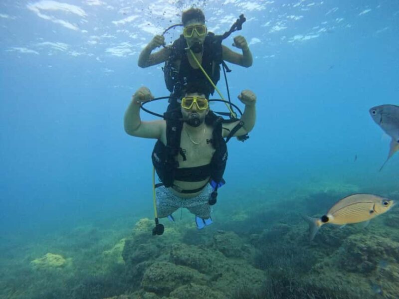 Side: Scuba Diving with Expert Diving Option - Equipment and Safety Protocols