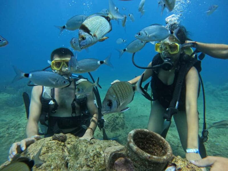Side: Scuba Diving with Expert Diving Option - Who Should Consider This Tour?