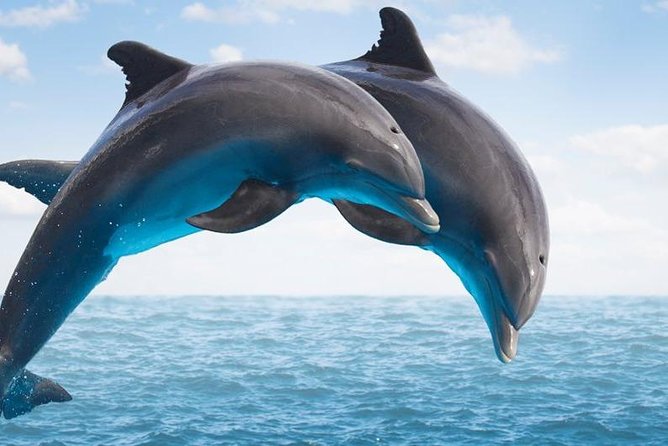 Side:Explore Manavgat Market & Waterfalls on a Scenic Boat Tour - Visiting the Manavgat Waterfall: What to Expect