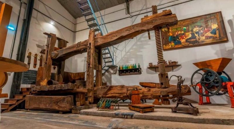 Sidra Vda. de Angelón: guided visit to a cider mill with tasting - Key Points