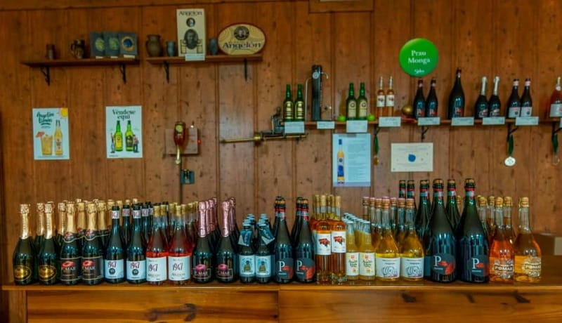 Sidra Vda. de Angelón: guided visit to a cider mill with tasting - Tasting the Different Varieties of Asturian Cider