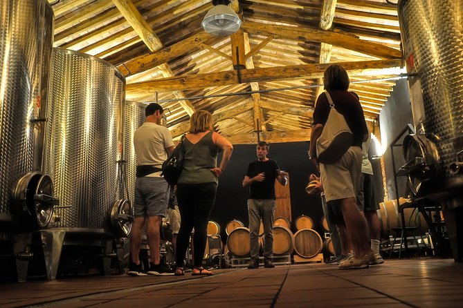 Siena: A Wine Tour and Tasting Experience - The Role of the Sommelier and Guided Tastings