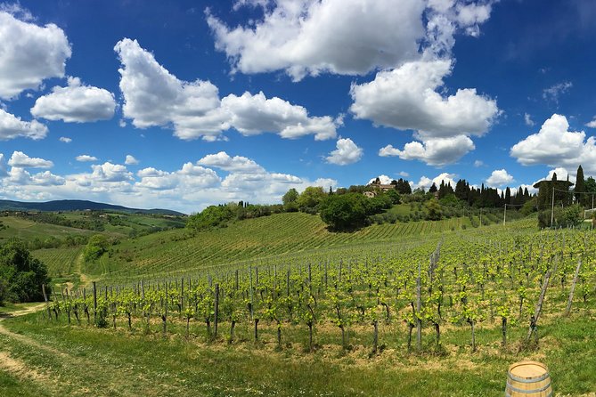 Siena: A Wine Tour and Tasting Experience - Logistics, Group Size, and Accessibility