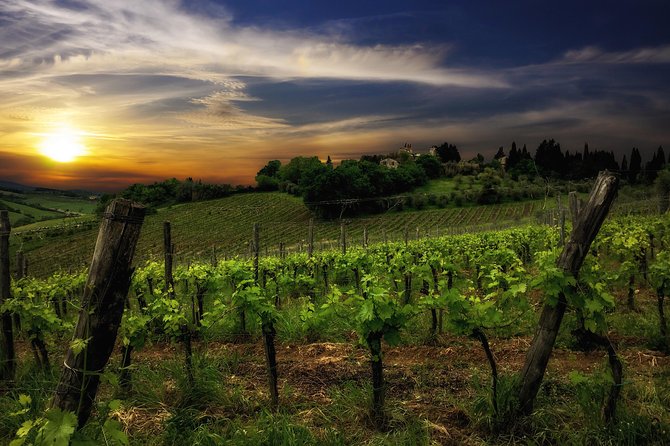 Siena: A Wine Tour and Tasting Experience - Value and Overall Experience