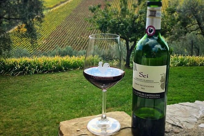 Siena and Chianti Wineries Excursion by Private Luxury Van from Florence - Discover the Charm of Siena and the Beauty of Chianti on a Private Luxury Van Tour