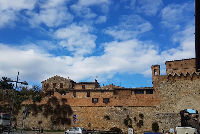 Siena and San Gimignano from Rome: Private Wine Tour in Tuscany - Wine Tasting at Tenuta Torciano