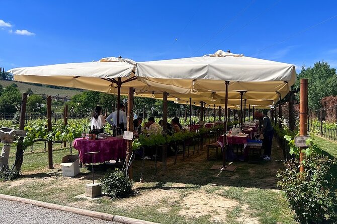 Siena and San Gimignano from Rome: Private Wine Tour in Tuscany - Convenient Private Transfers and Expert Guides