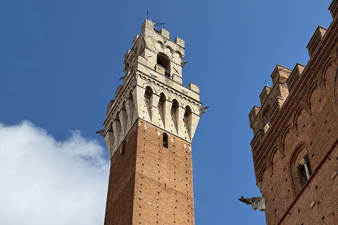 Siena and San Gimignano Tour by van from Lucca or Pisa - Why Choose This Tour from Lucca or Pisa?