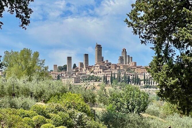 Siena and San Gimignano Tour from Florence - Who Will Love This Tour?
