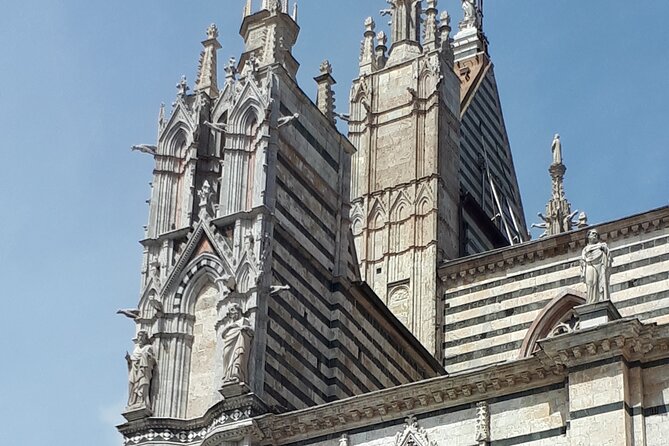 Siena Cathedral: shrine of treasures. - Practical Details: Ticketing and Accessibility