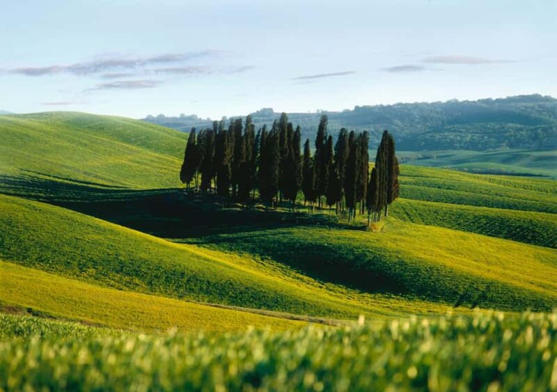Siena: Guided visit of the city in German - Key Points