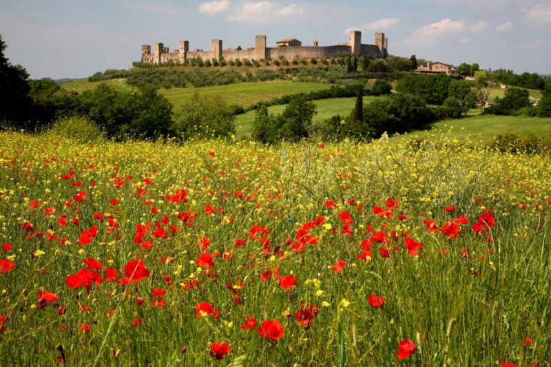 Siena: Half-day Guided Hike to Monteriggioni - Who Will Enjoy This Tour the Most?