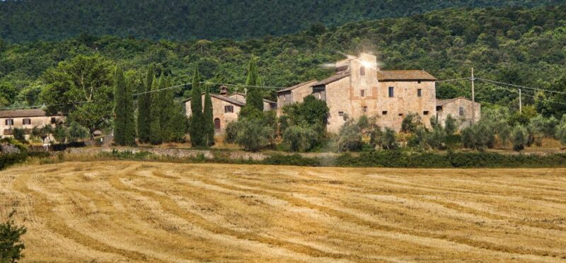 Siena: Half-day Guided Hike to Monteriggioni - Siena: Half-day Guided Hike to Monteriggioni