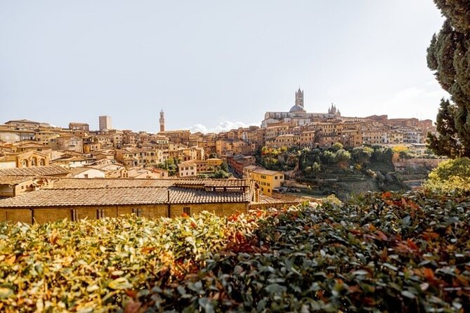 Siena Highlights Private Walking Tour With A Guide (Private Tour) - Key Points