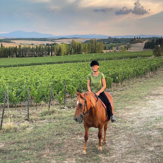 Siena: Horseback Adventure in the Tuscan Countryside - Key Points