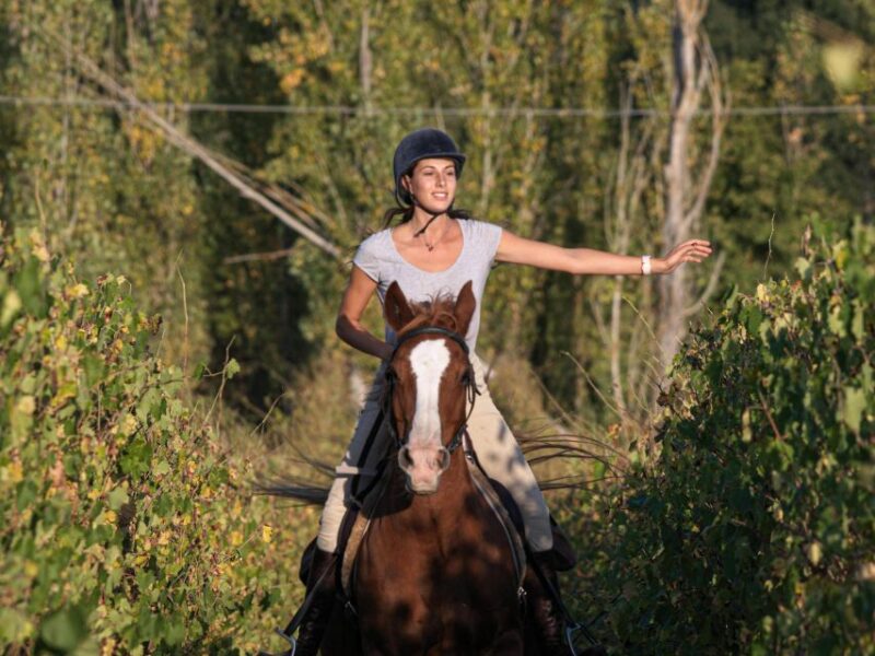 Siena: Horseback Adventure in the Tuscan Countryside - Visiting Local Wineries and Farms