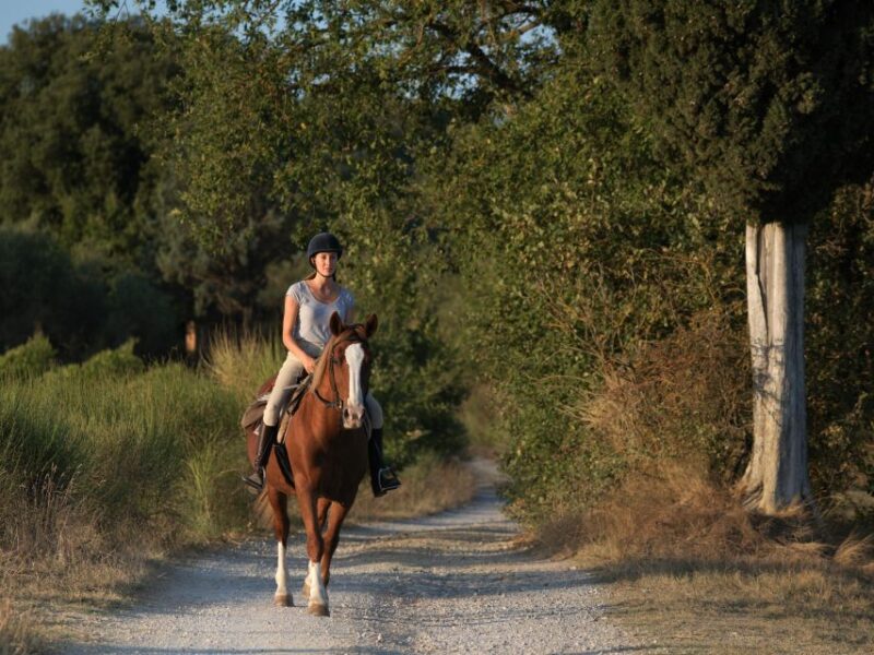 Siena: Horseback Adventure in the Tuscan Countryside - Suitable for All Levels of Riders