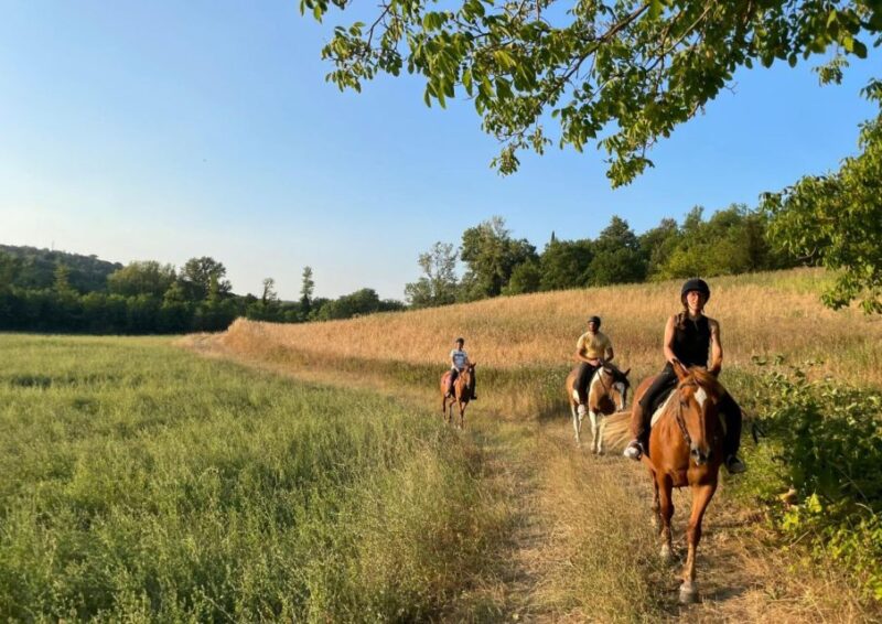 Siena: Horseback Adventure in the Tuscan Countryside - Summary: Who Will Love This Tour?