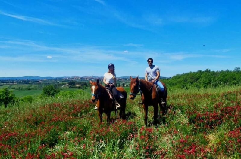 Siena: Horseback Riding Tour in the Tuscany Countryside - The Equine Guides and Their Role in Your Ride