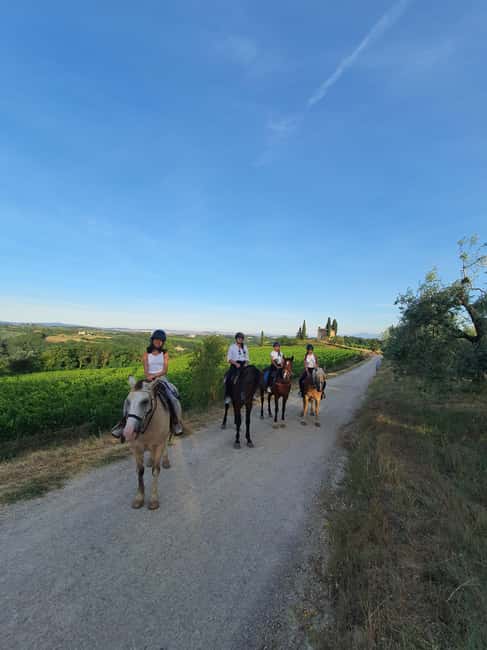 Siena: Horseback Riding Tour in the Tuscany Countryside - Who Will Most Enjoy This Tour?